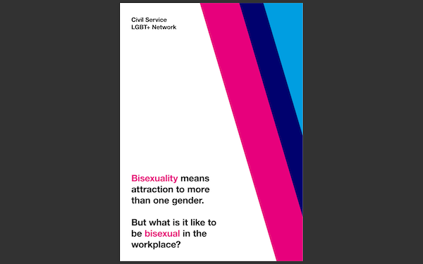 The front cover of the new bisexuality fact sheet